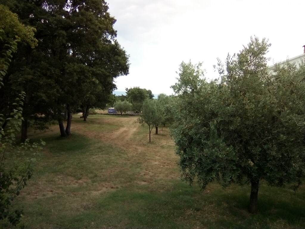 Image 5595520 - 3