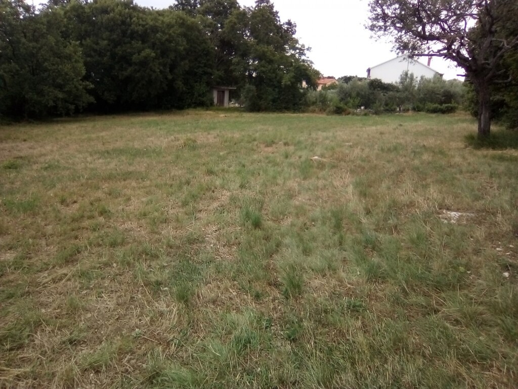 Image 5595520 - 2