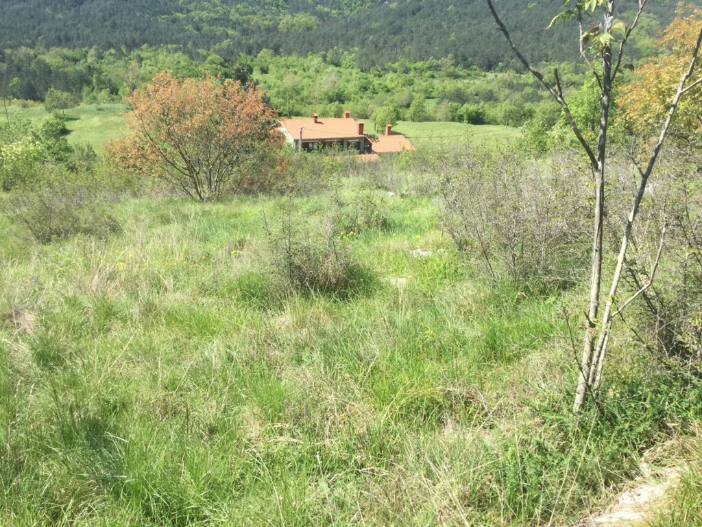 Image 5595526 - 2