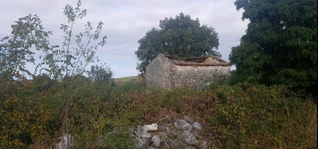 Image 5595541 - 7