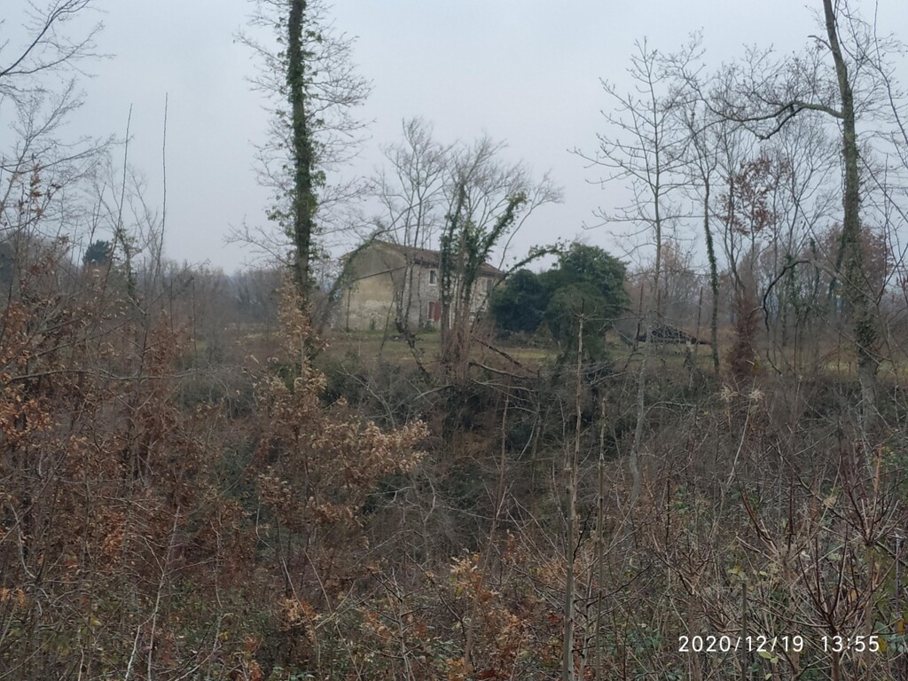 Image 5595605 - 21