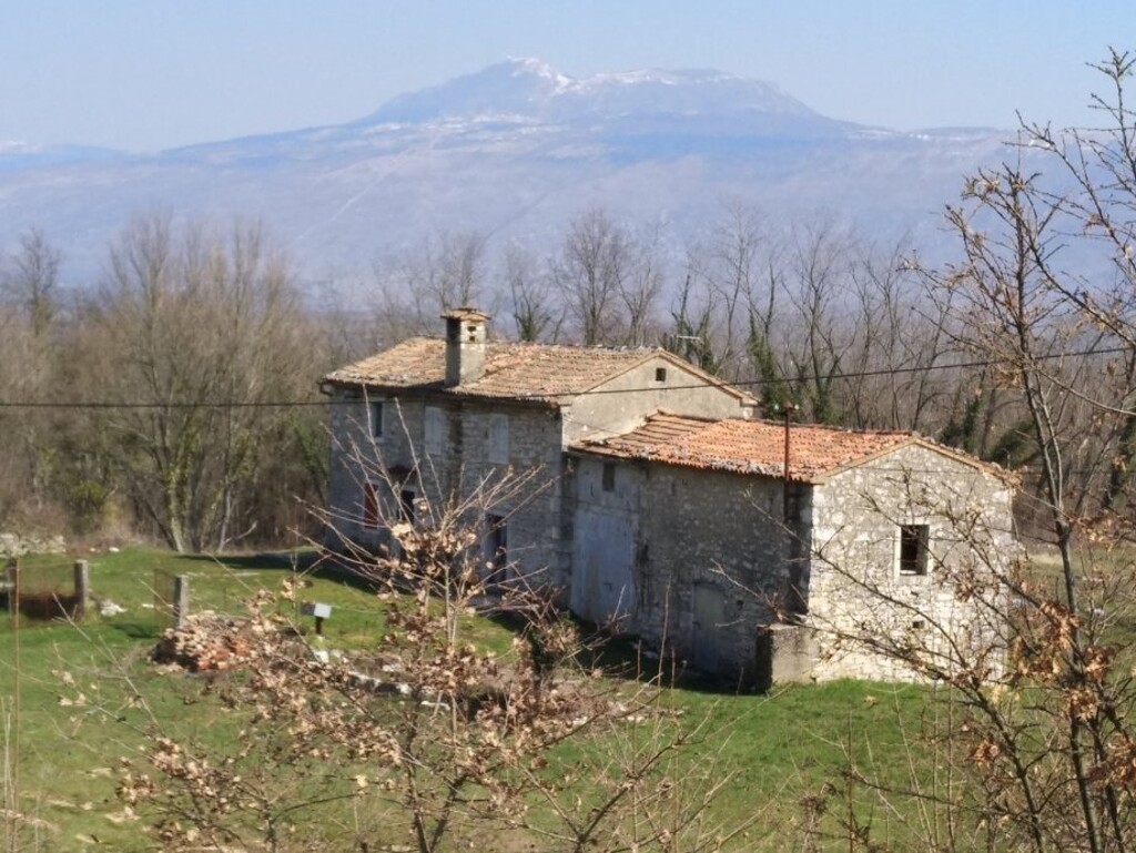 Image 5595605 - 23