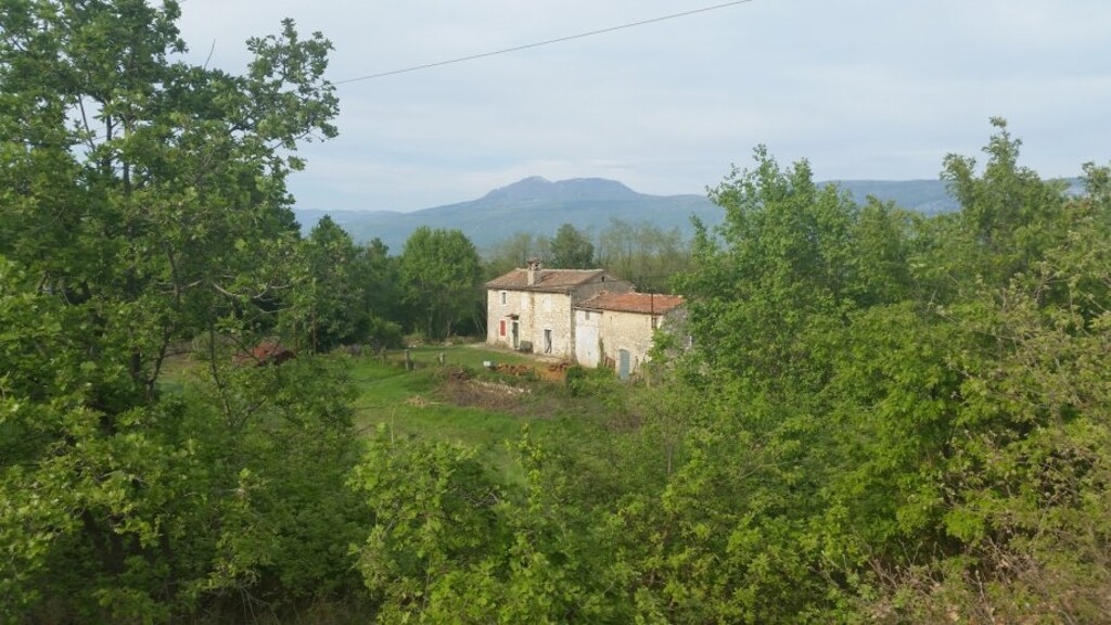 Image 5595605 - 10