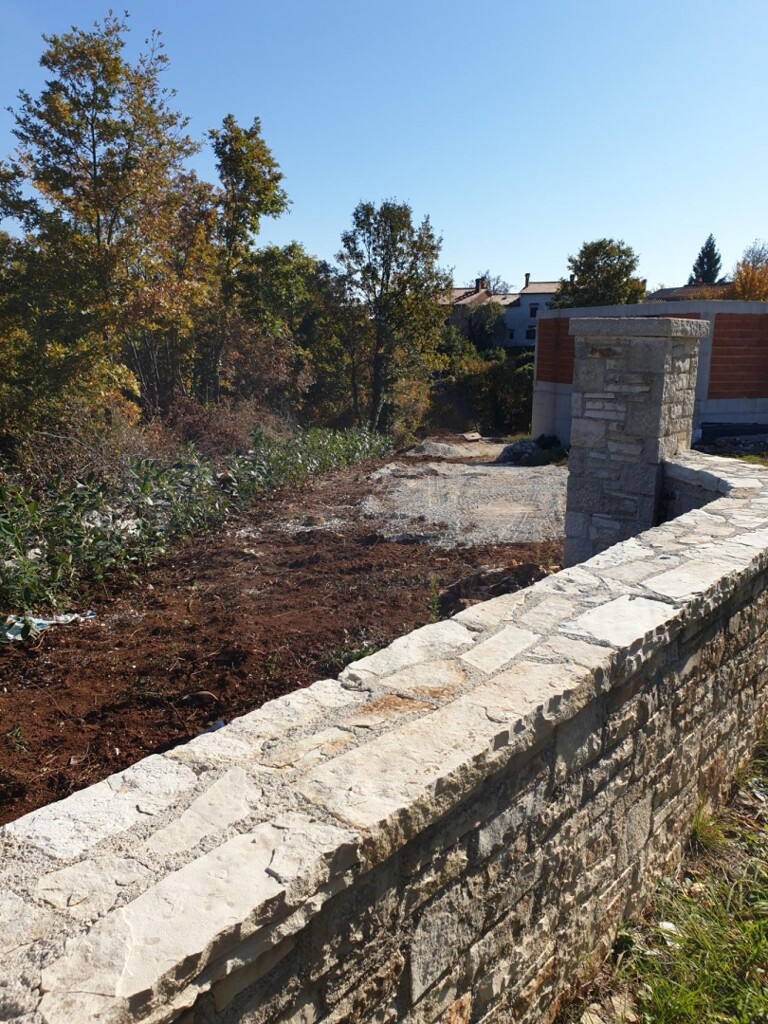 Image 5595617 - 17