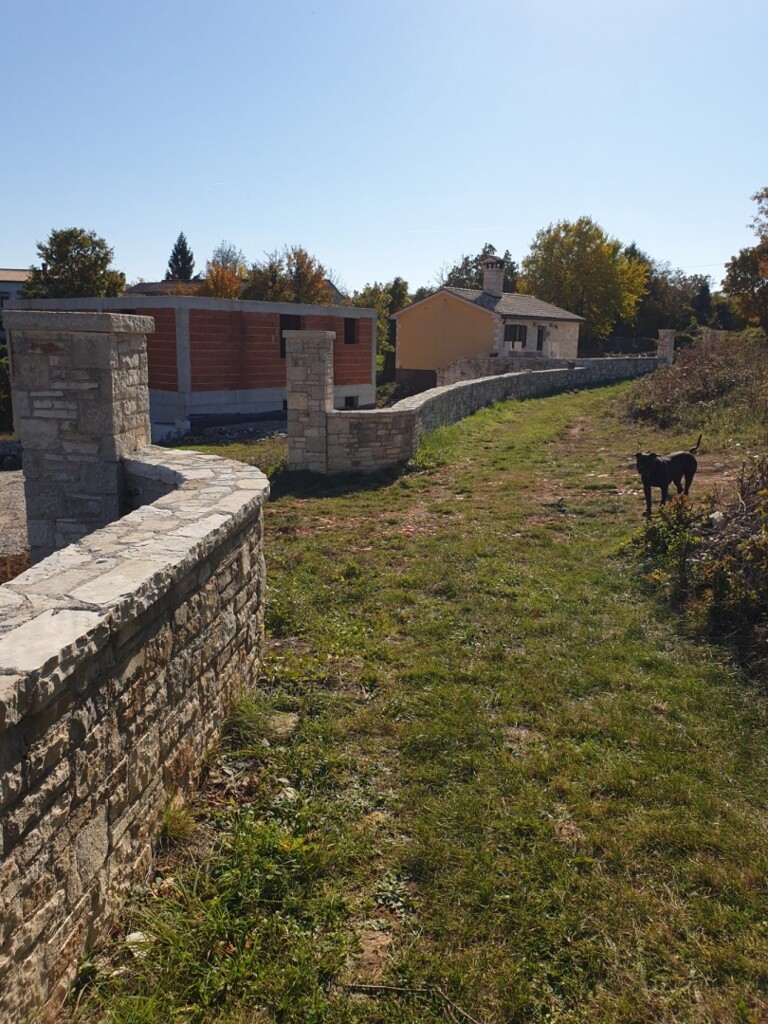 Image 5595617 - 6