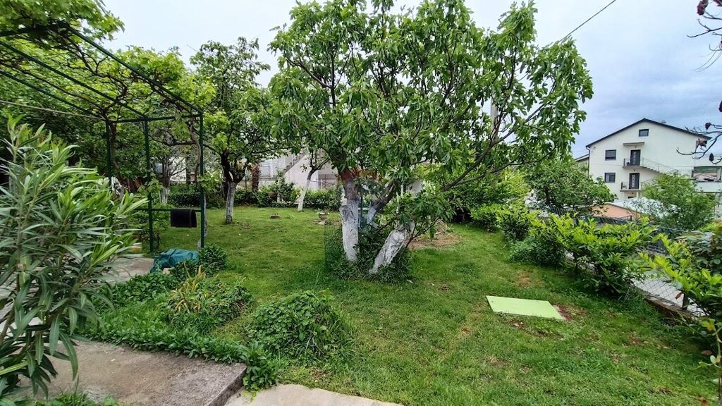 Image 5595778 - 25