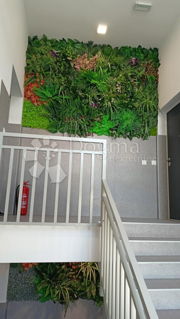 Image 5596649 - 14