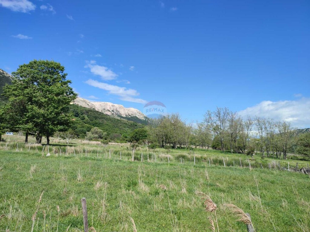 Image 5596760 - 4