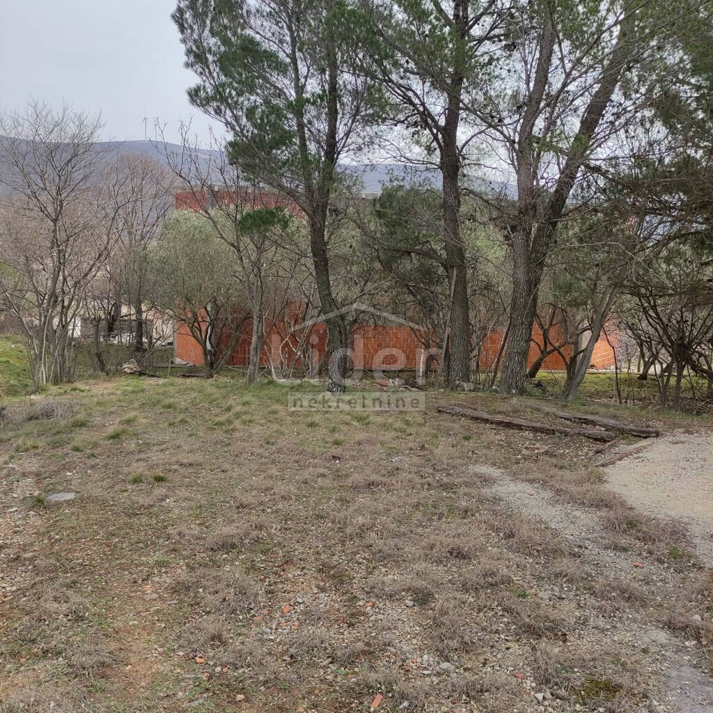 Image 5597626 - 8