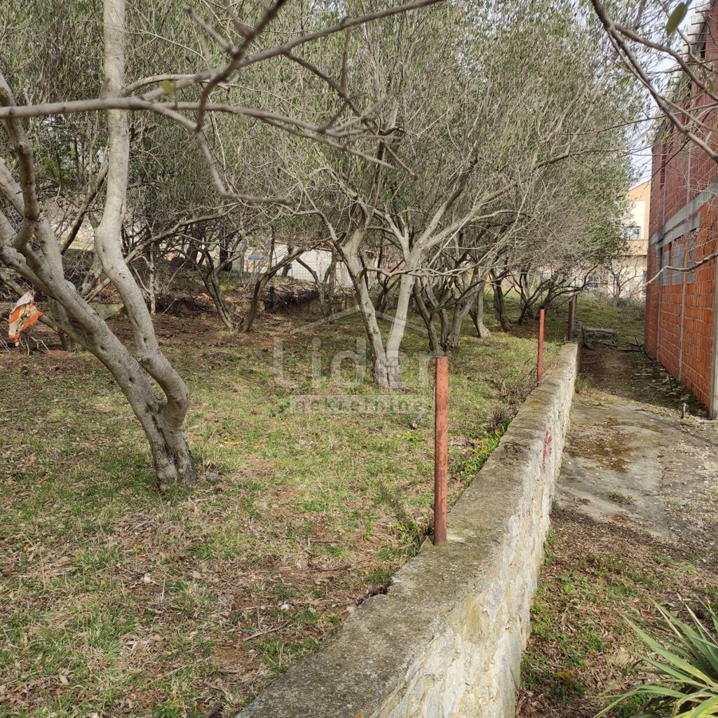 Image 5597626 - 11