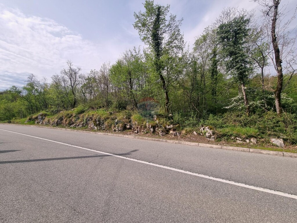 Image 5597774 - 3