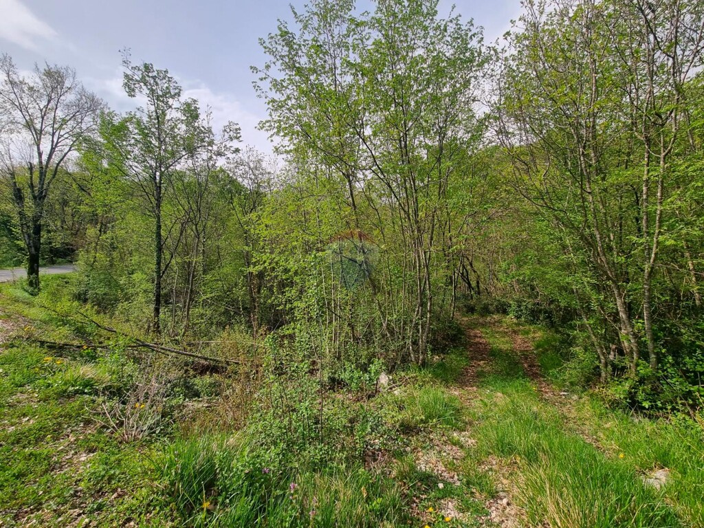 Image 5597774 - 1