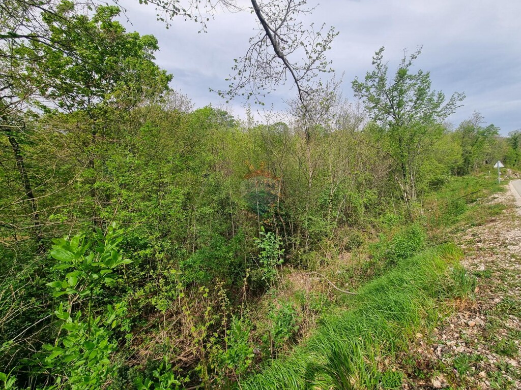 Image 5597774 - 4