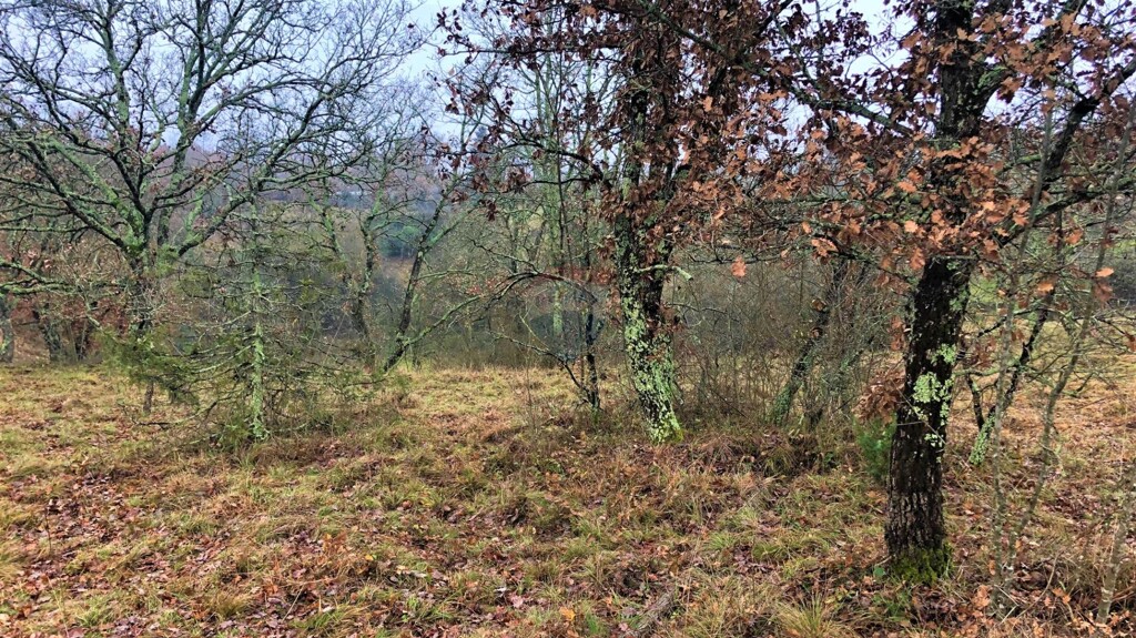 Image 5597782 - 9
