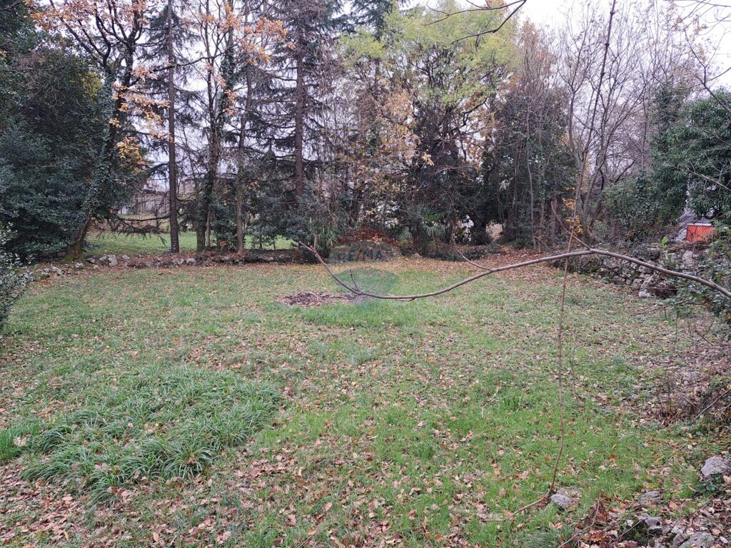 Image 5601187 - 1