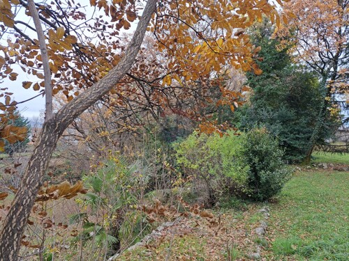 Thumbnail 5601187 - 3