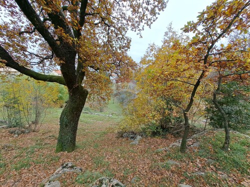 Thumbnail 5601187 - 4
