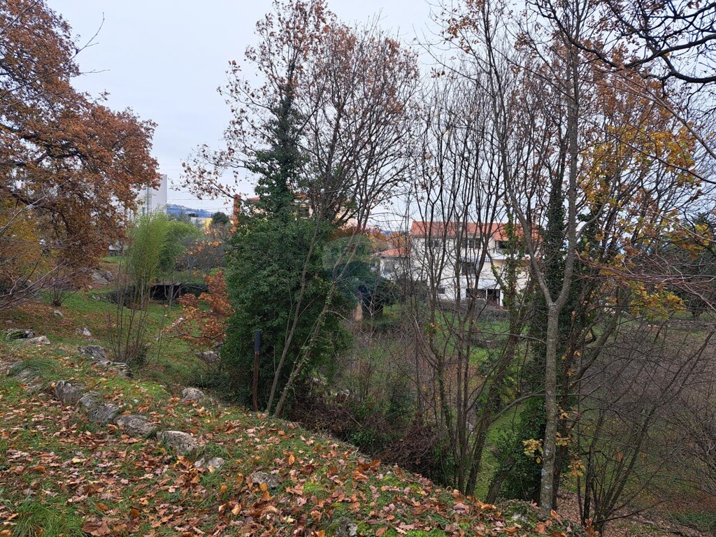 Image 5601187 - 5