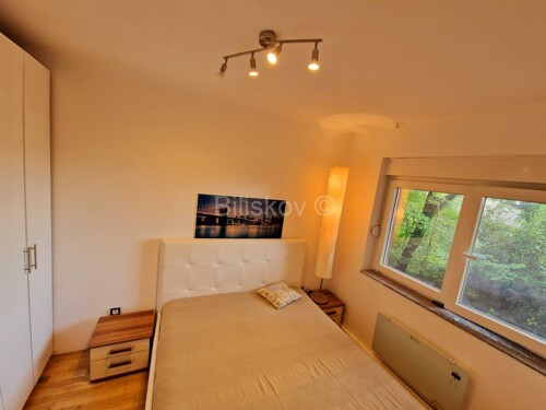 Thumbnail 5602033 - 15