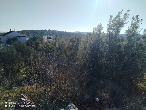 Thumbnail 5602055 - 3