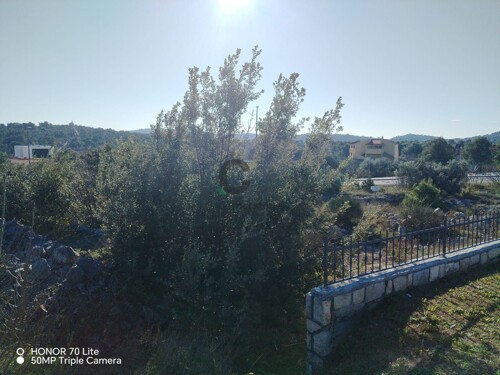 Thumbnail 5602055 - 5