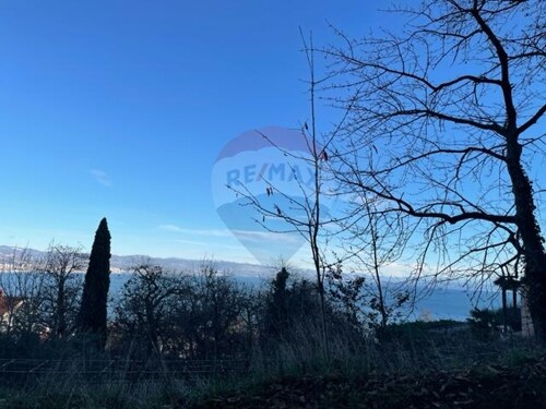 Thumbnail 5603142 - 1