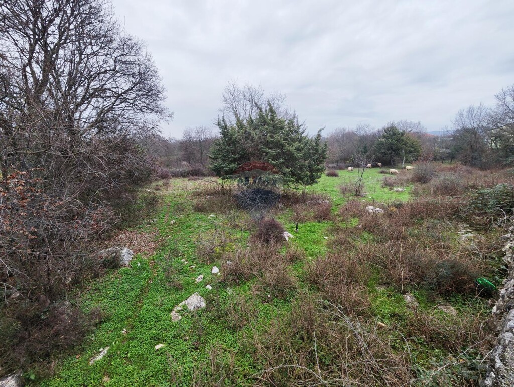 Image 5604457 - 1