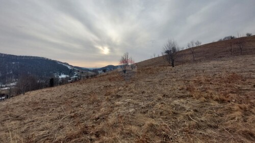 Thumbnail 5605130 - 4