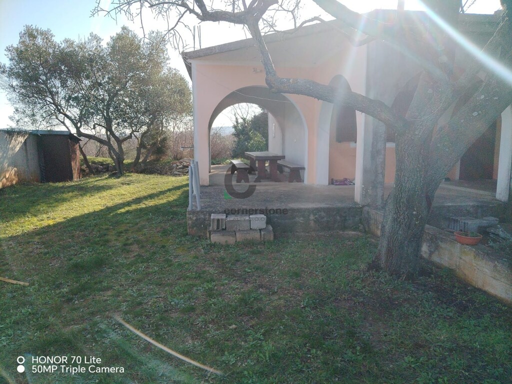 Image 5606568 - 1