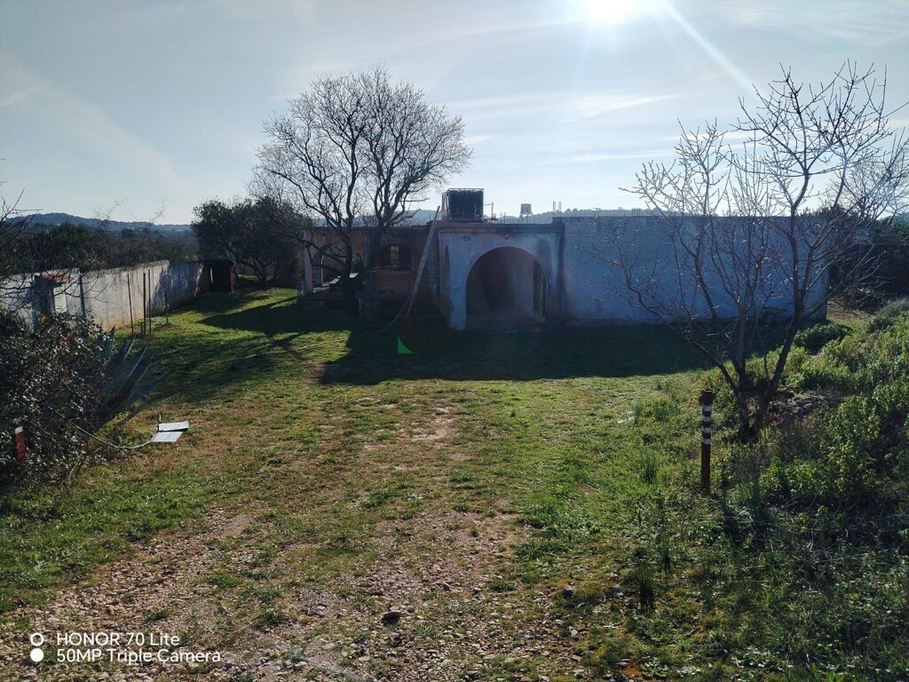 Image 5606568 - 3