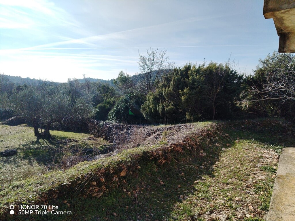 Image 5606568 - 10