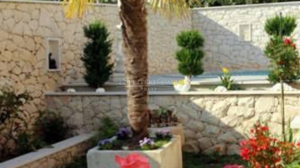 Image 5606587 - 7