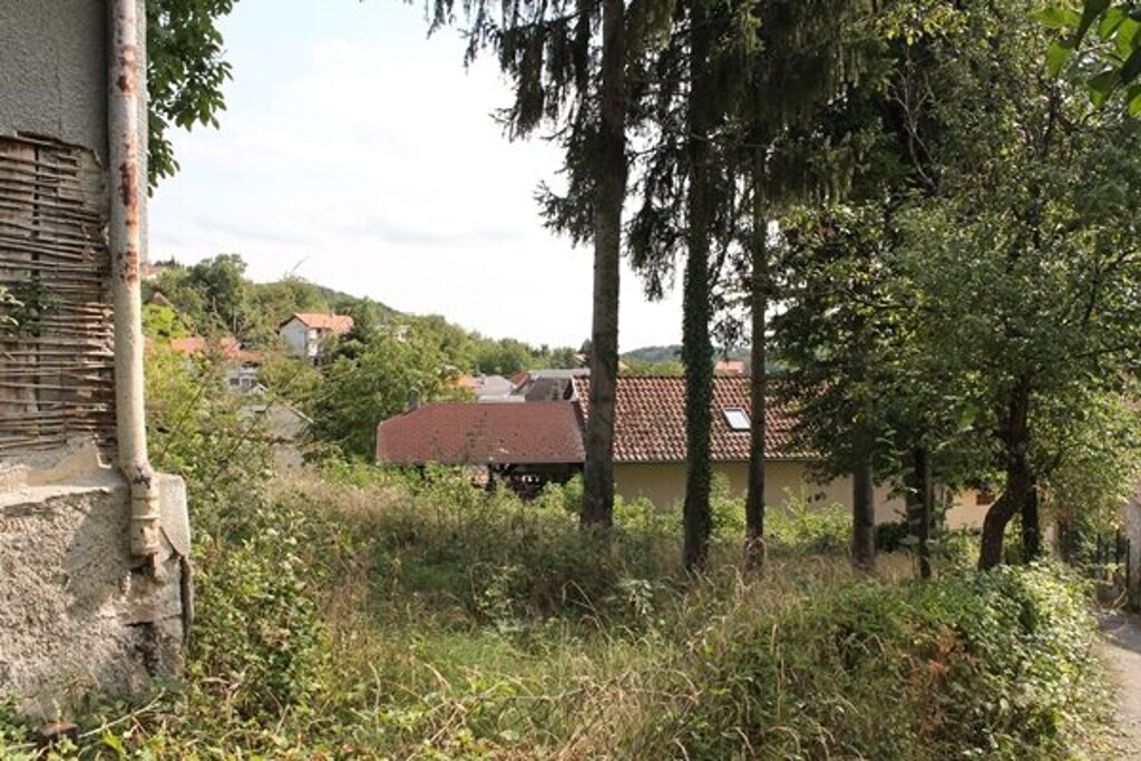 Image 5609621 - 1