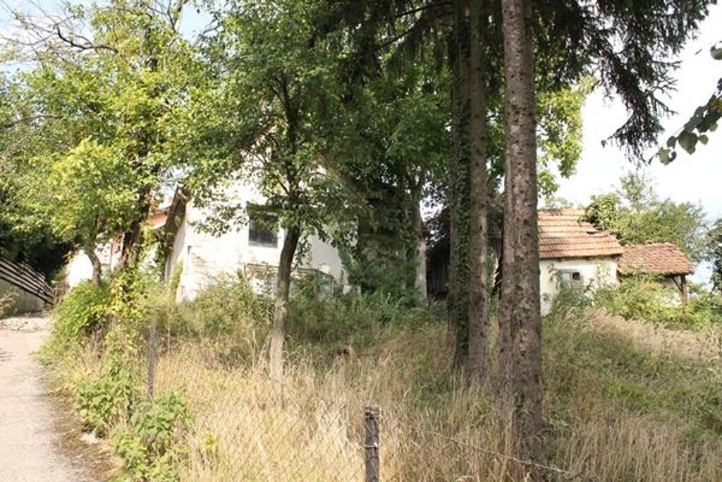 Image 5609621 - 2