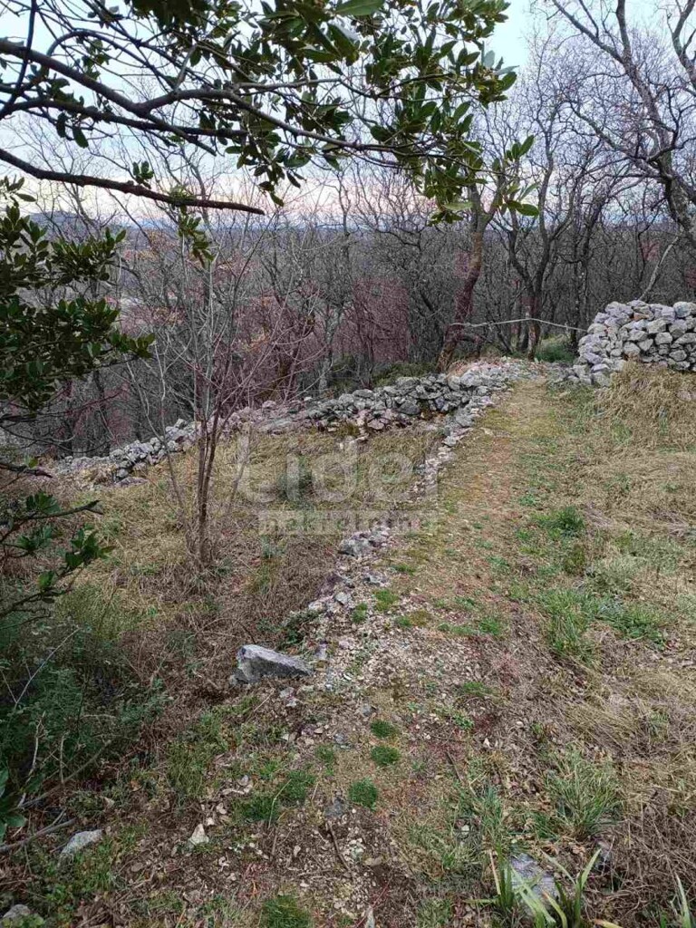 Image 5609845 - 3
