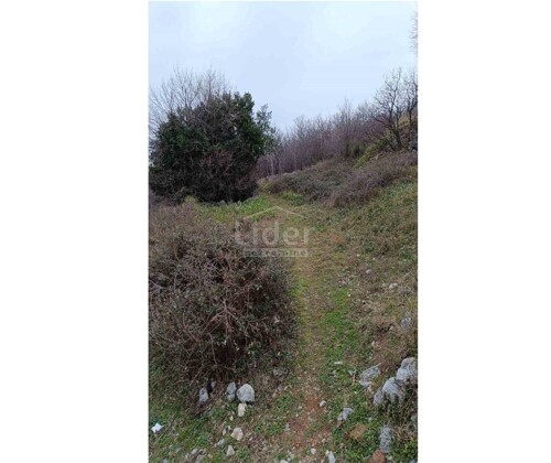 Thumbnail 5609845 - 7