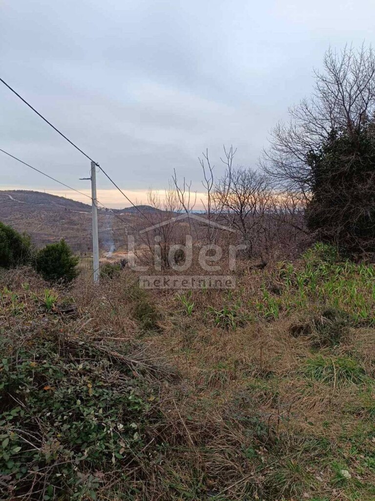 Image 5609845 - 4