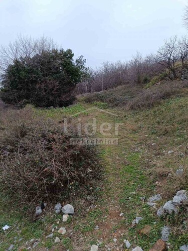Thumbnail 5609845 - 5
