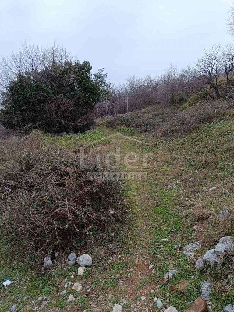 Image 5609845 - 5