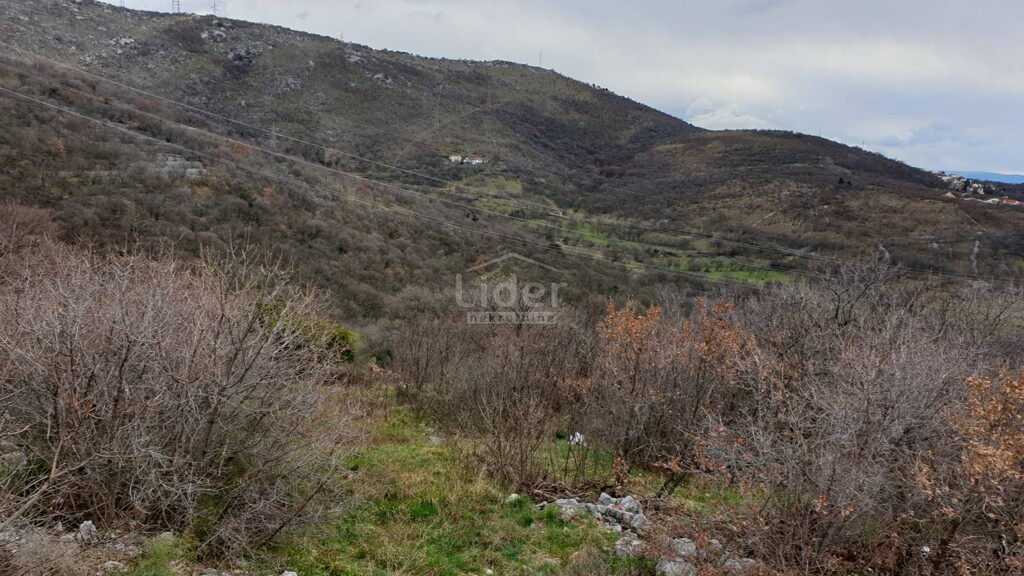 Image 5609845 - 6