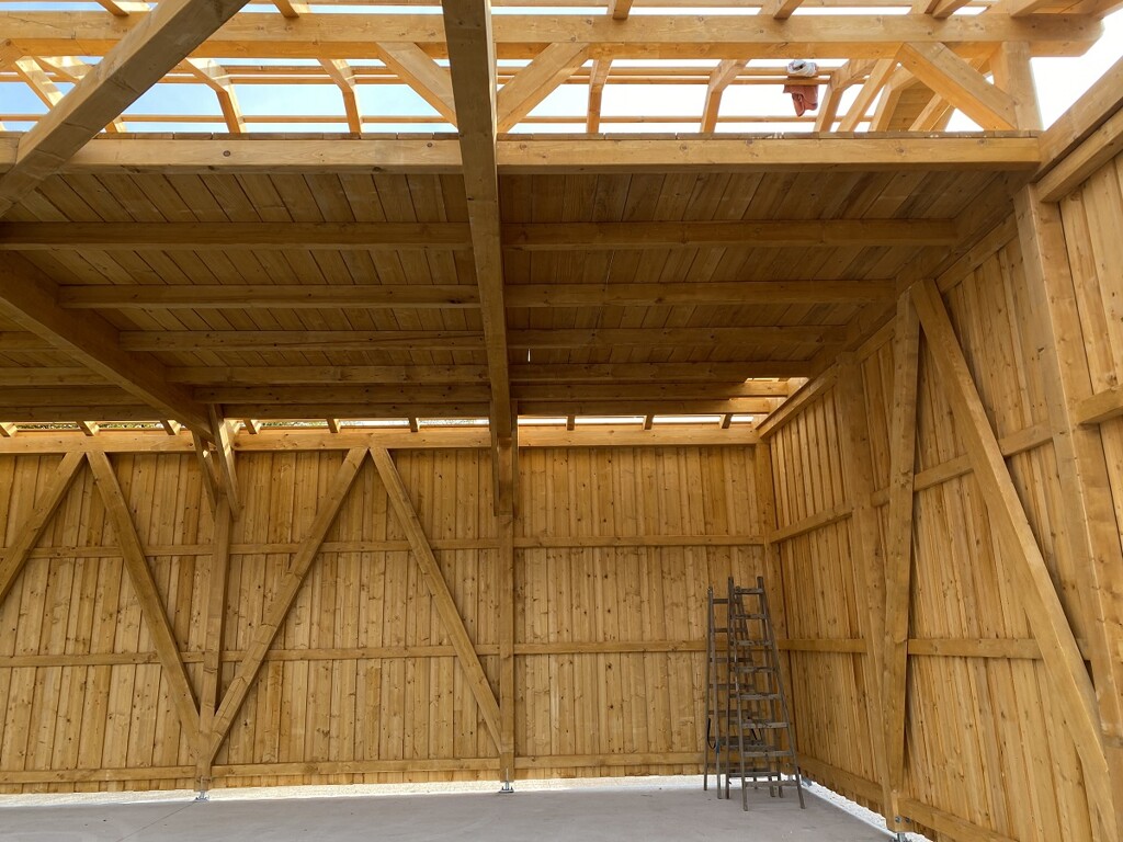 Image 5611812 - 7