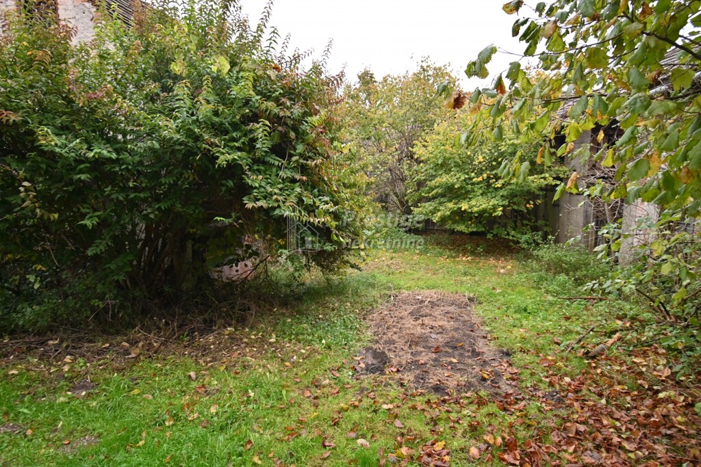 Image 5615888 - 4