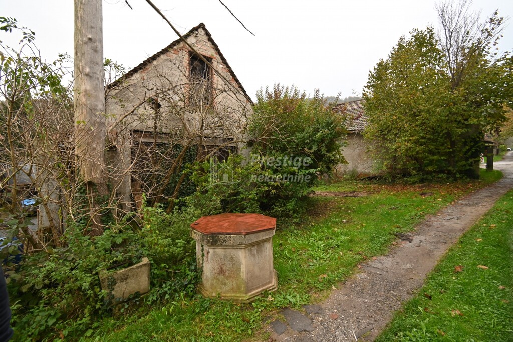 Image 5615888 - 6