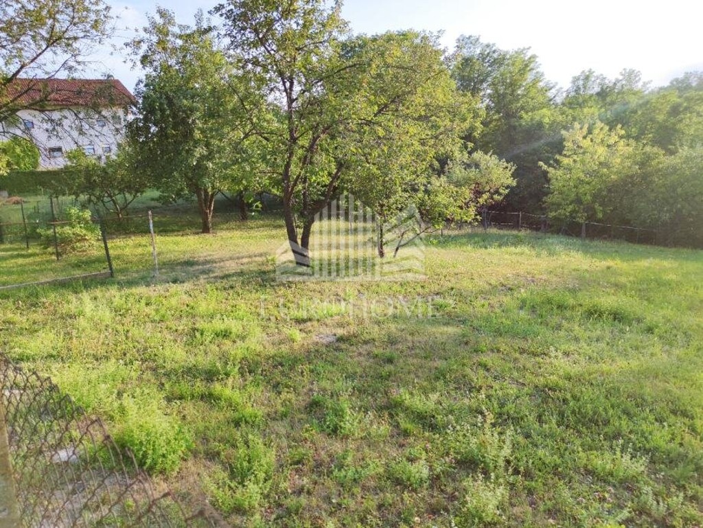Image 5616855 - 2