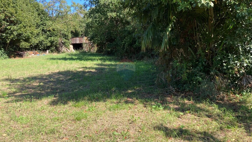 Image 5617020 - 2