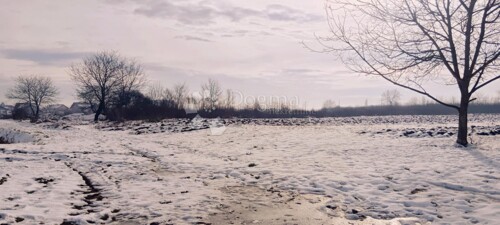 Thumbnail 5618711 - 1