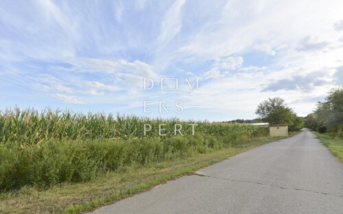 Thumbnail 5620681 - 5