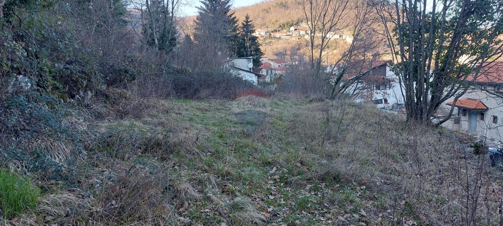 Image 5621194 - 2