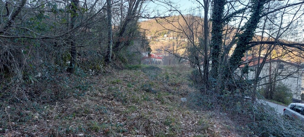 Image 5621194 - 3