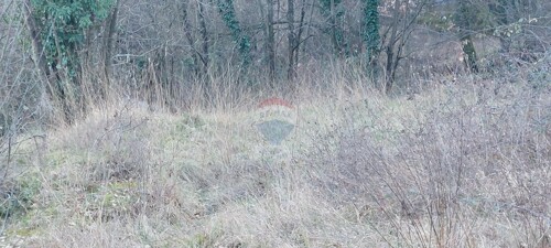 Thumbnail 5621194 - 4